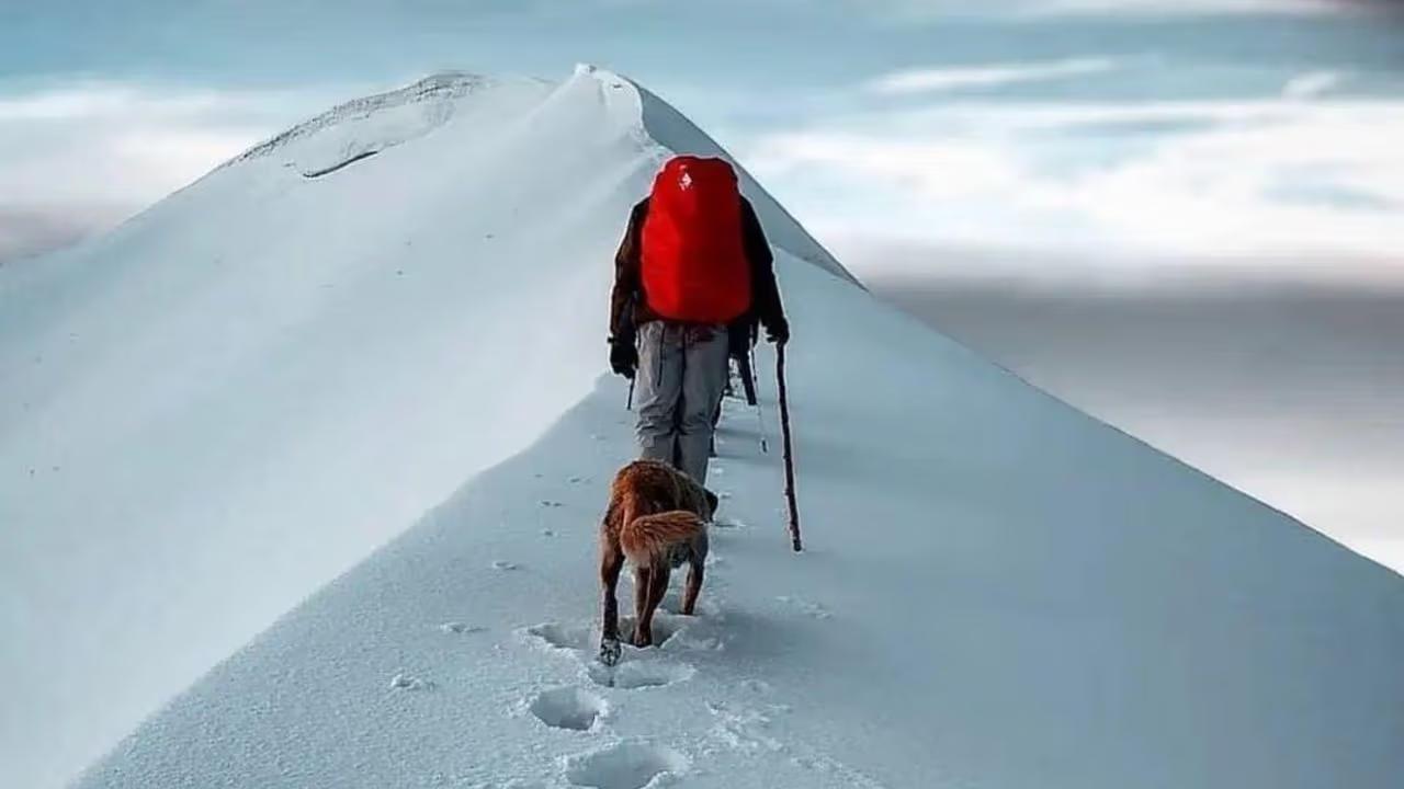 Bali Pass Trek